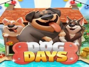 Dog Days game icon